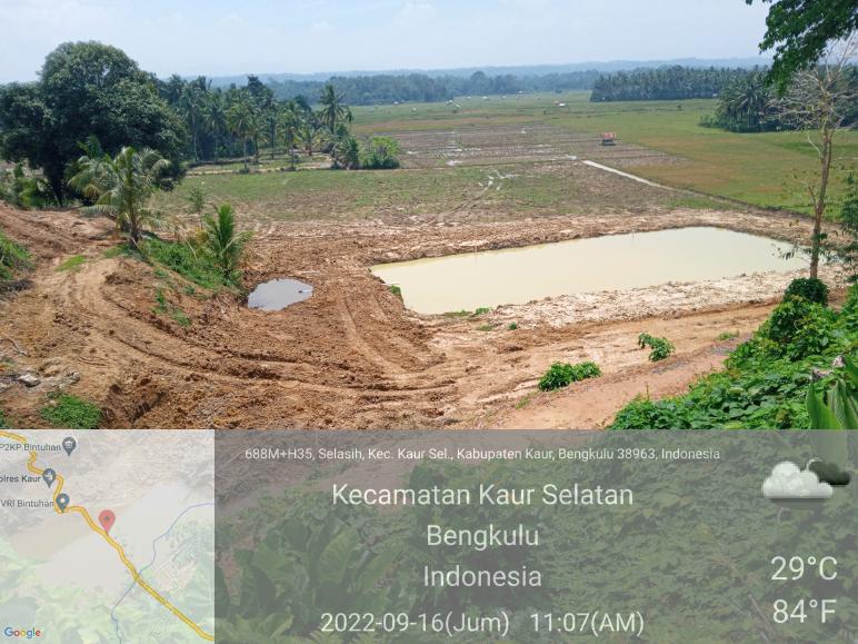 Sawah