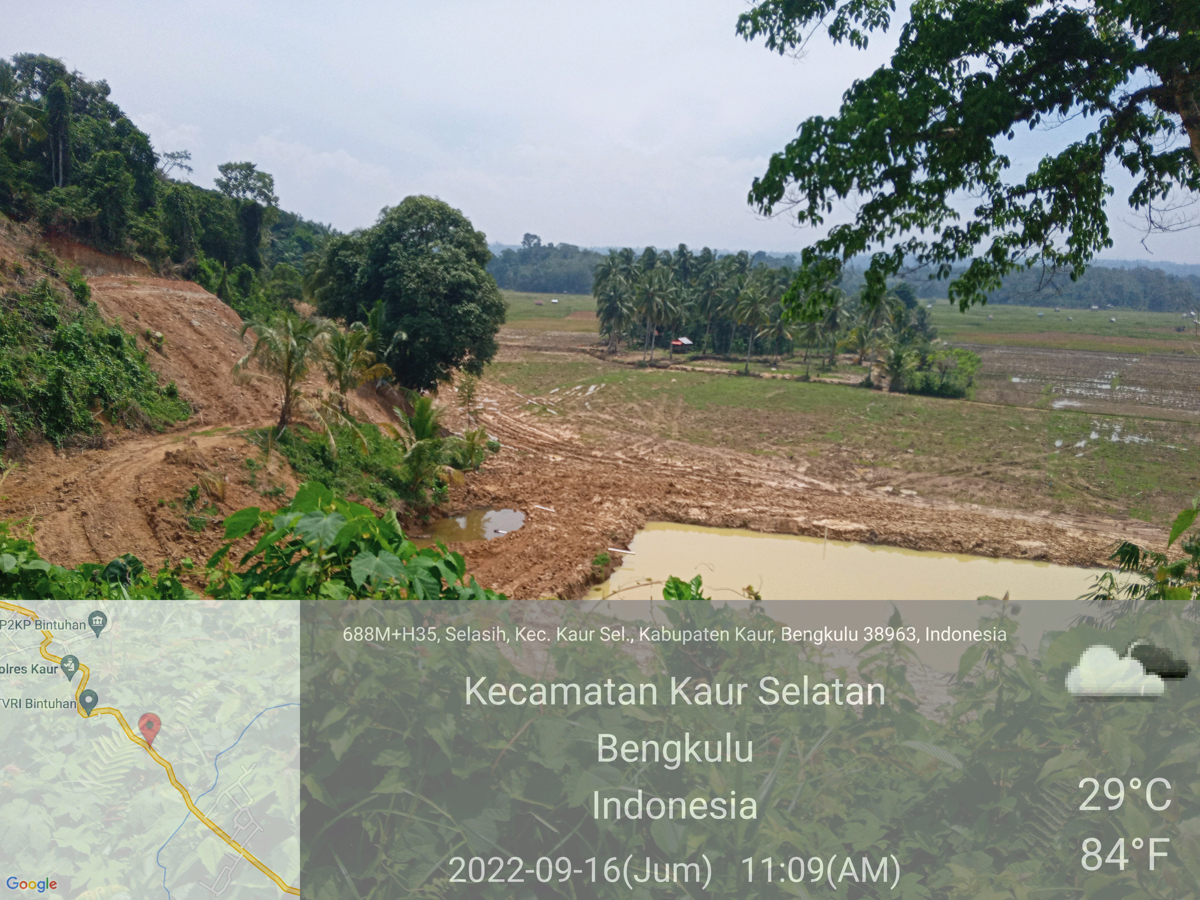 Sawah