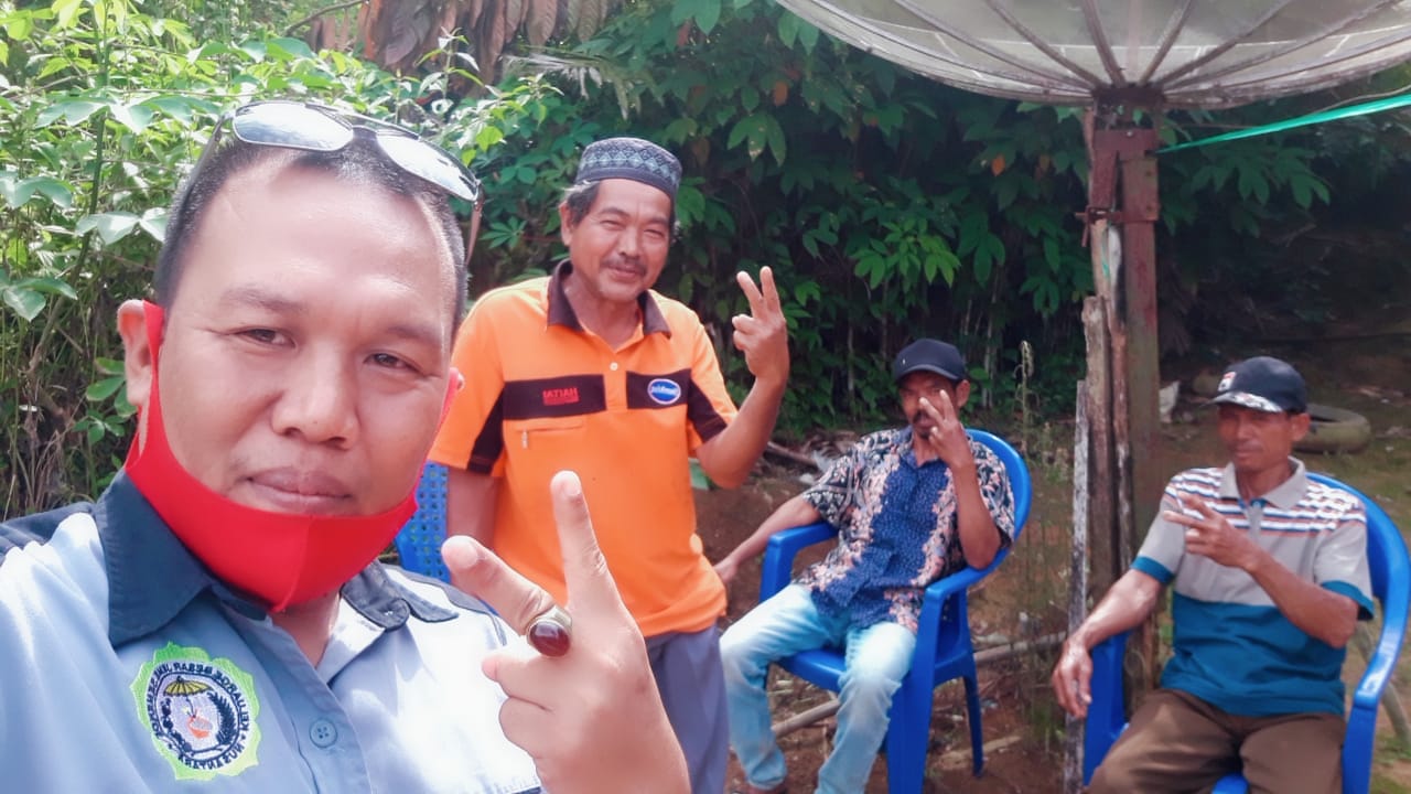 Lis heri