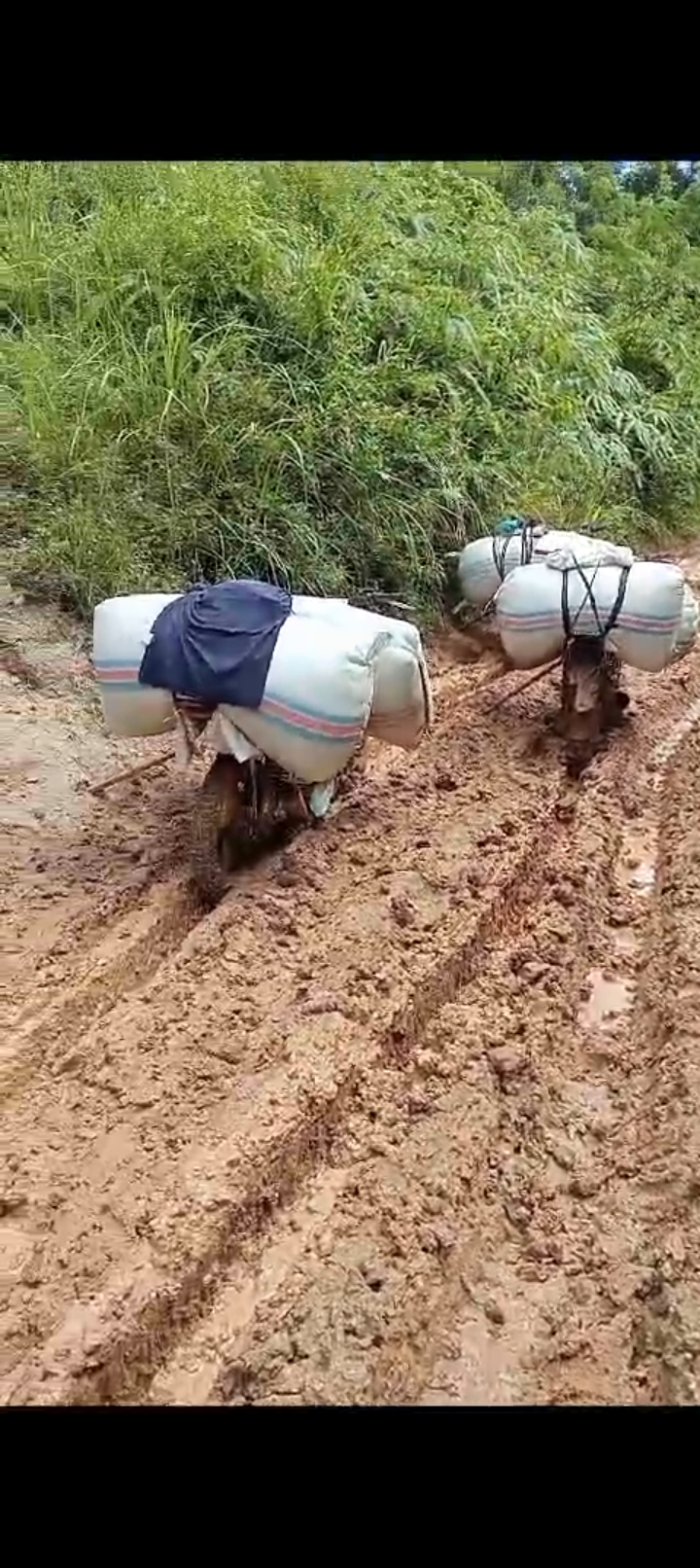 Jalan Desa Tanjung Aur